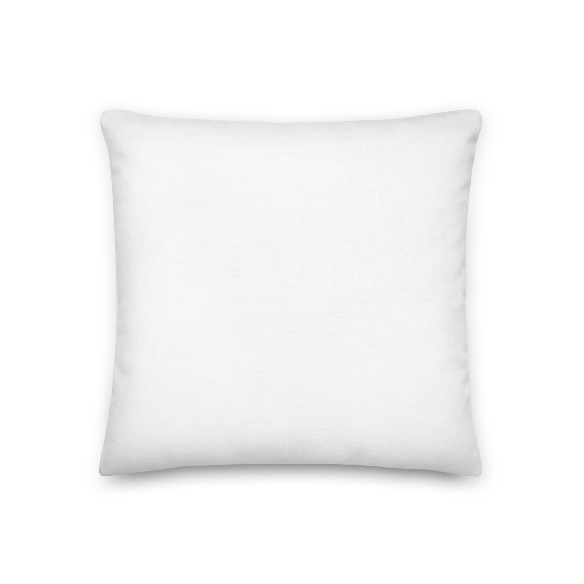all-over-print-premium-pillow-18x18-back-68d67f60cc949.png