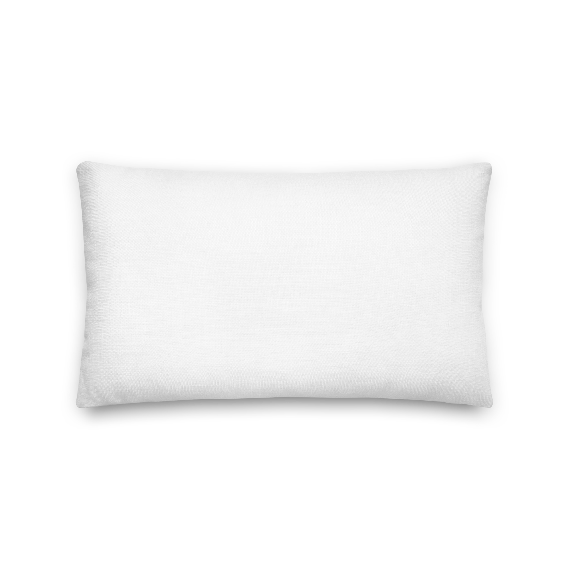 all-over-print-premium-pillow-20x12-back-68d67f60ce2fc.png