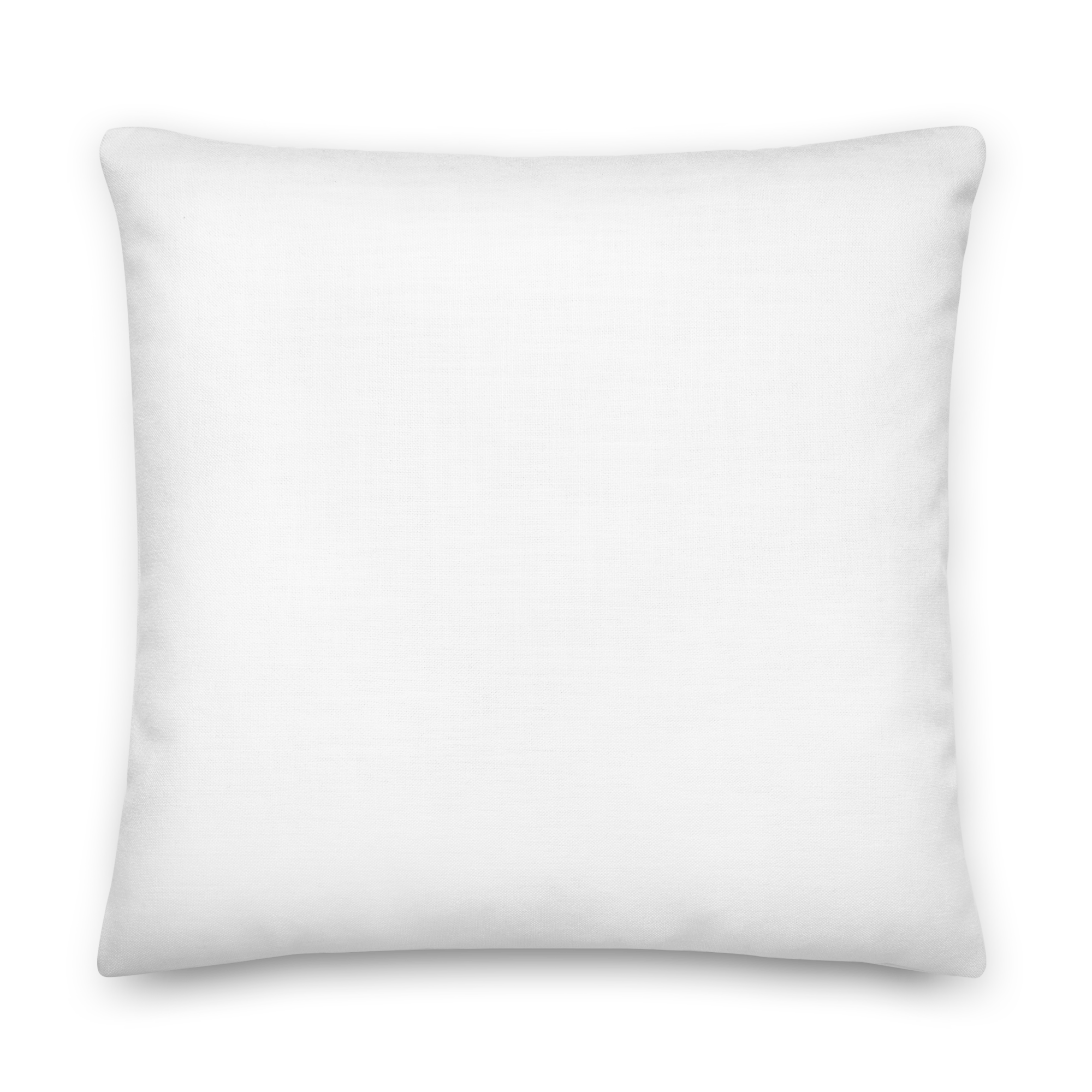 all-over-print-premium-pillow-22x22-back-68d67f60caf76.png