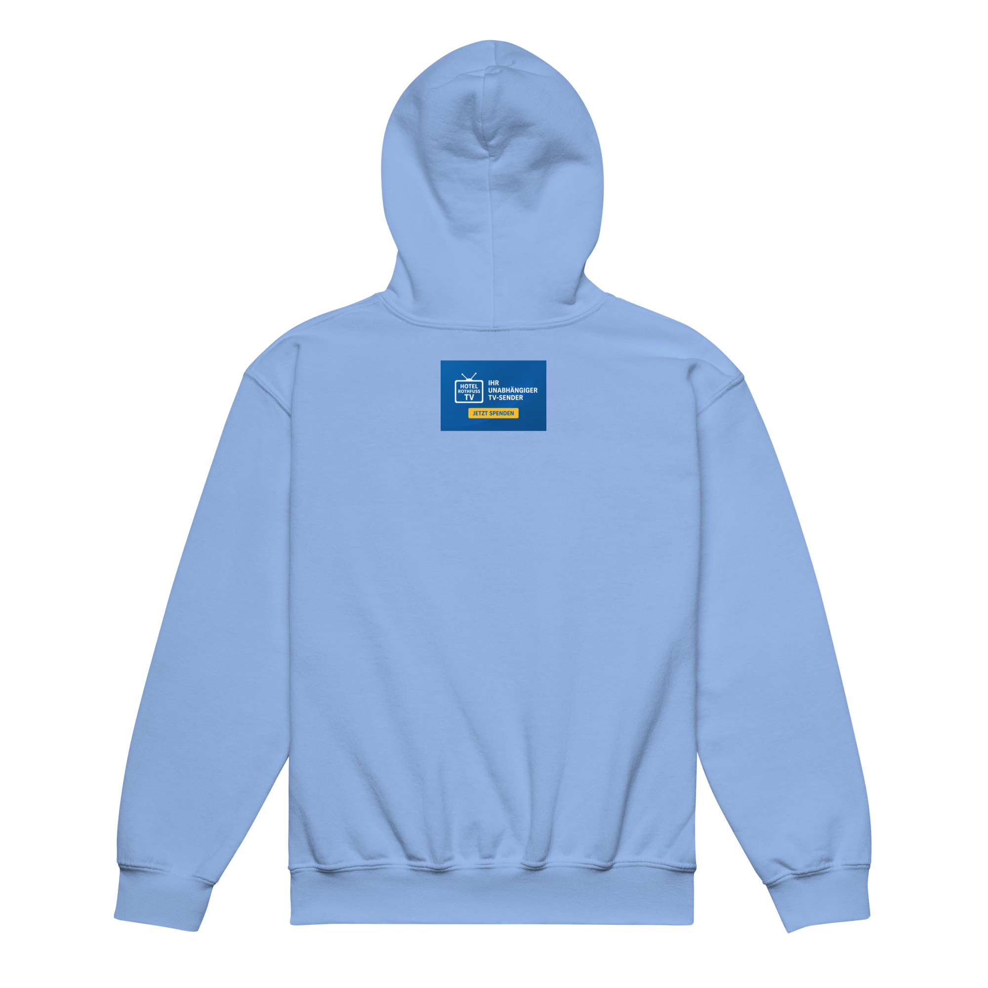 youth-heavy-blend-hoodie-carolina-blue-back-68e7af99e0ce3.jpg